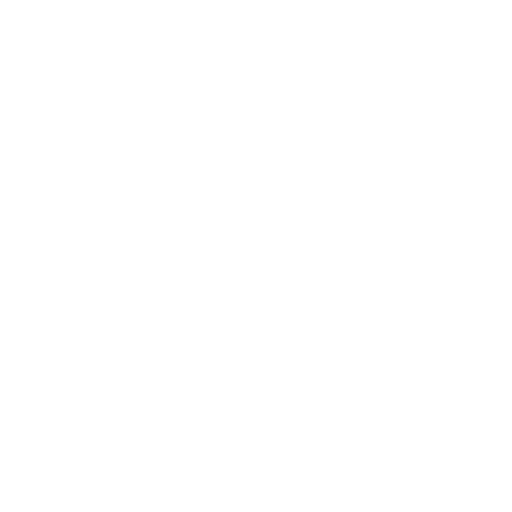 VeyraOS Router